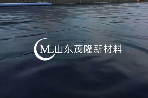 《龙大养殖有限公司景芝镇沼气利用及污水处理工程项目部》土工膜施工