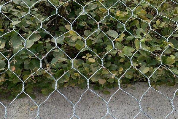 复合土工膜与石笼网可以一起使用吗 第2张